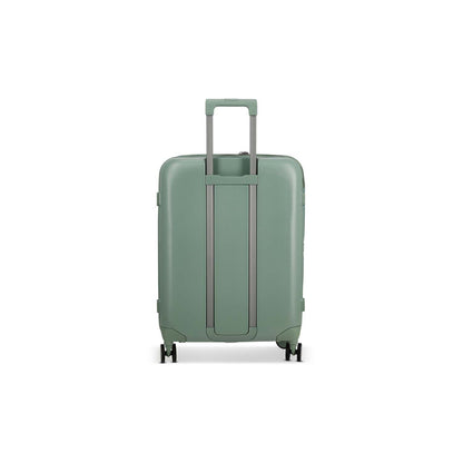 Hedge Green Medium Checked (26")